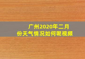 广州2020年二月份天气情况如何呢视频