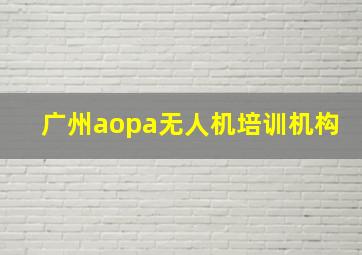 广州aopa无人机培训机构