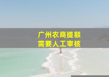 广州农商提额需要人工审核