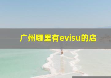 广州哪里有evisu的店