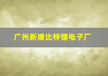 广州新塘比特锂电子厂