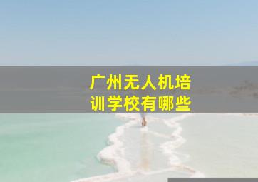 广州无人机培训学校有哪些