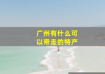 广州有什么可以带走的特产