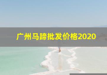 广州马蹄批发价格2020