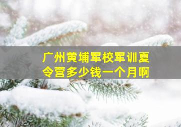 广州黄埔军校军训夏令营多少钱一个月啊