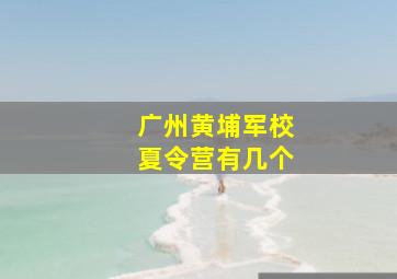 广州黄埔军校夏令营有几个