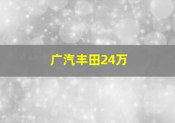 广汽丰田24万