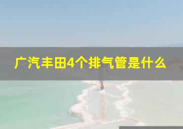 广汽丰田4个排气管是什么