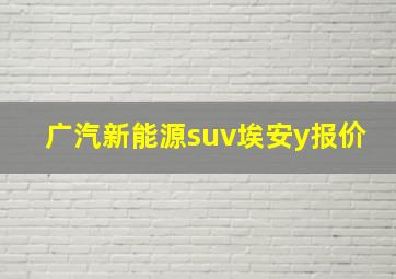 广汽新能源suv埃安y报价