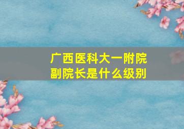 广西医科大一附院副院长是什么级别