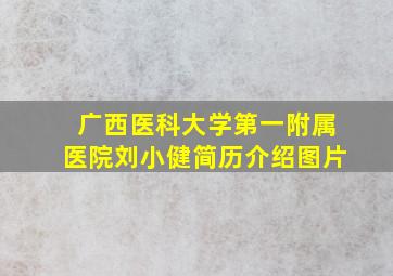 广西医科大学第一附属医院刘小健简历介绍图片