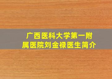 广西医科大学第一附属医院刘金禄医生简介