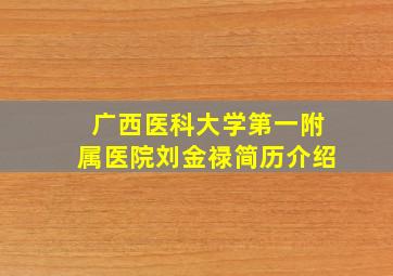 广西医科大学第一附属医院刘金禄简历介绍