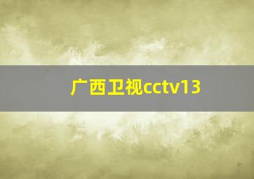 广西卫视cctv13