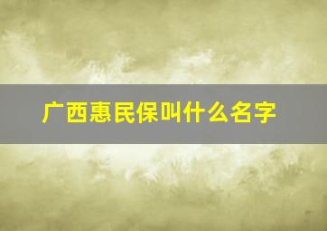 广西惠民保叫什么名字