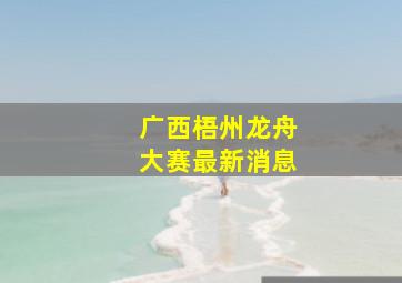 广西梧州龙舟大赛最新消息