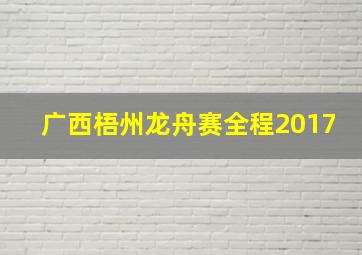 广西梧州龙舟赛全程2017