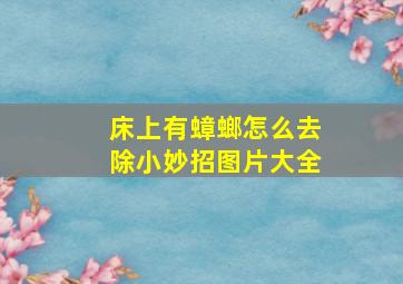 床上有蟑螂怎么去除小妙招图片大全