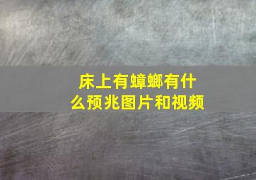 床上有蟑螂有什么预兆图片和视频