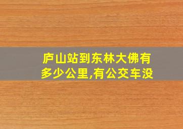 庐山站到东林大佛有多少公里,有公交车没