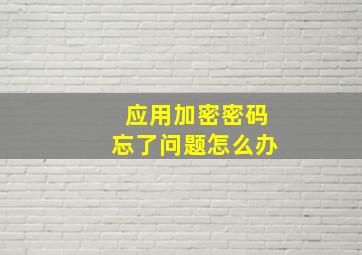 应用加密密码忘了问题怎么办