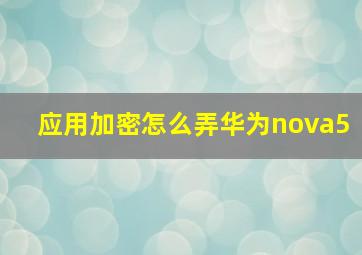 应用加密怎么弄华为nova5