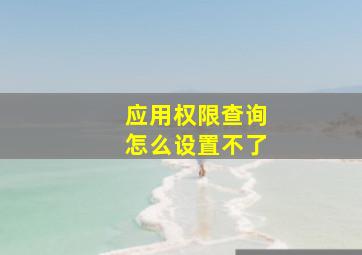 应用权限查询怎么设置不了