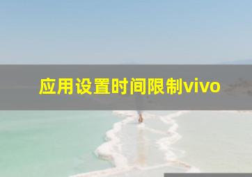 应用设置时间限制vivo