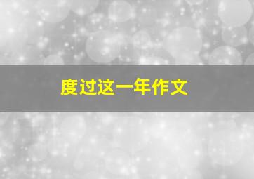 度过这一年作文