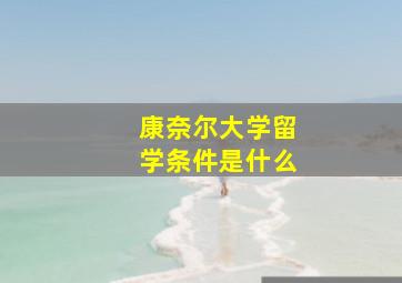 康奈尔大学留学条件是什么