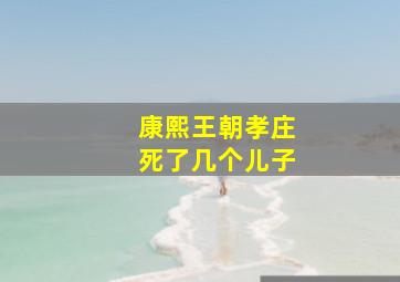 康熙王朝孝庄死了几个儿子