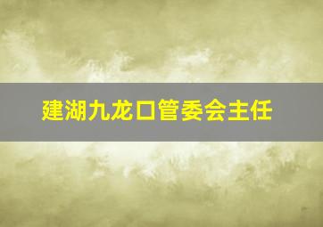 建湖九龙口管委会主任