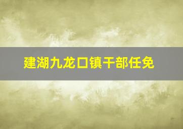 建湖九龙口镇干部任免