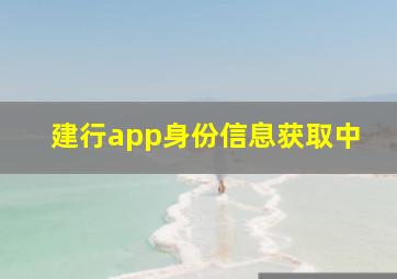 建行app身份信息获取中