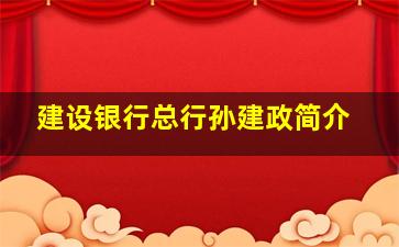 建设银行总行孙建政简介