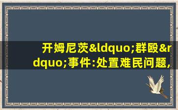 开姆尼茨“群殴”事件:处置难民问题,德国政府力不从心