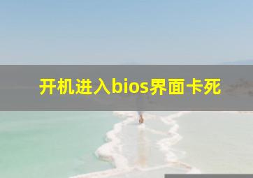 开机进入bios界面卡死