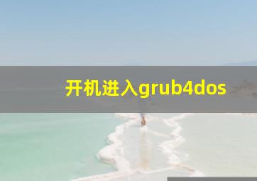 开机进入grub4dos