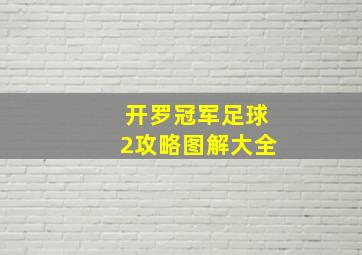 开罗冠军足球2攻略图解大全