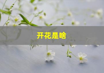 开花是啥