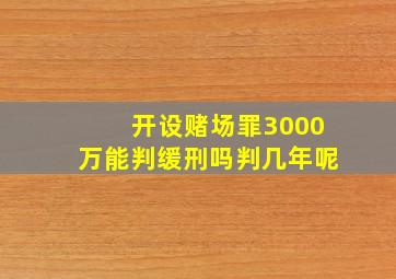 开设赌场罪3000万能判缓刑吗判几年呢