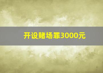 开设赌场罪3000元