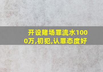 开设赌场罪流水1000万,初犯,认罪态度好