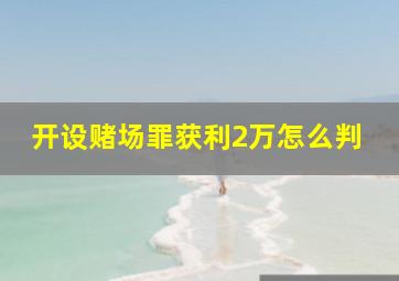 开设赌场罪获利2万怎么判