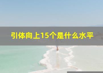 引体向上15个是什么水平