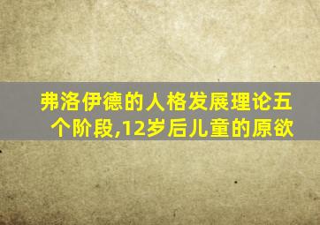 弗洛伊德的人格发展理论五个阶段,12岁后儿童的原欲