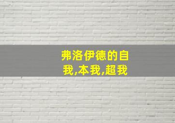 弗洛伊德的自我,本我,超我