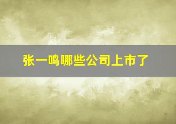 张一鸣哪些公司上市了