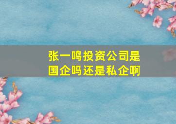 张一鸣投资公司是国企吗还是私企啊