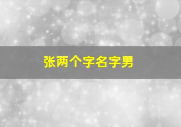 张两个字名字男